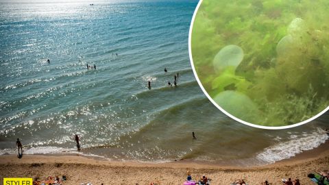 Морське дно біля берегів Одеси всіяне "ртутними кульками": еколог розповів, що це (відео)