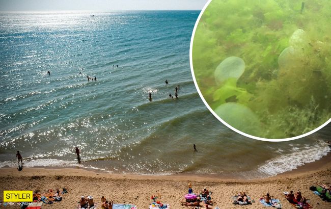 Морське дно біля берегів Одеси всіяне "ртутними кульками": еколог розповів, що це (відео)