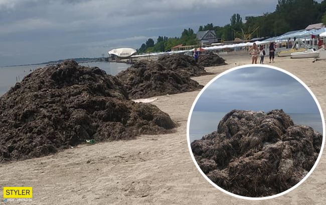 Страшенний сморід і купа водоростей: українці засмучені відпочинком на популярному курорті