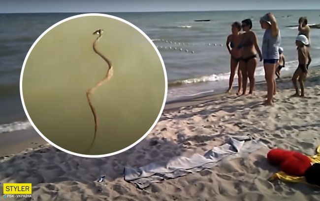 Известный украинский курорт атакуют змеи: уже есть жертва (видео)