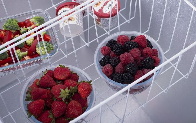 Що робити із "заморозкою", якщо потекла морозилка: робочі поради