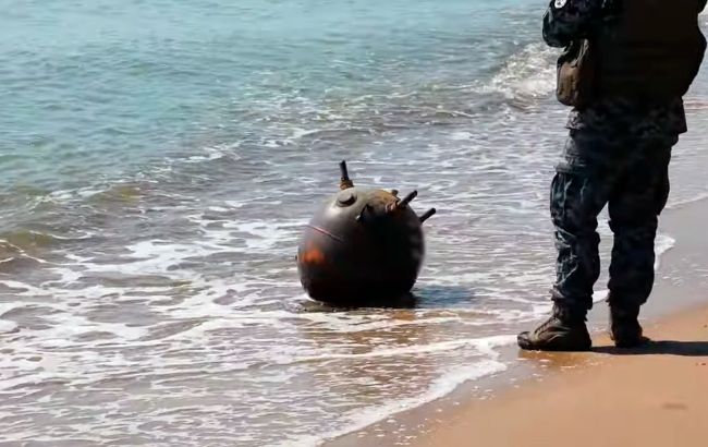 Военные ликвидировали вражескую мину на побережье Черного моря