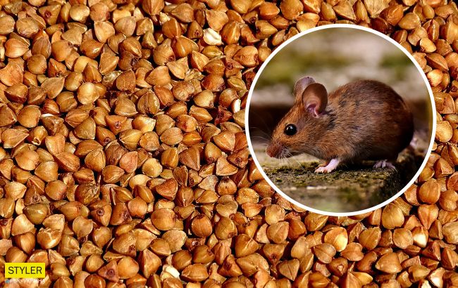 Українка купила пакет гречки, але повечеряти не вдалося: там був "сюрприз"