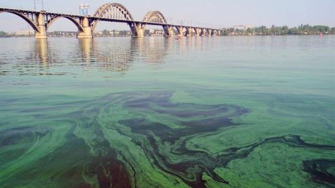 Днепр может превратиться в пустыню через 300 лет. В реке нашли 161 загрязнитель