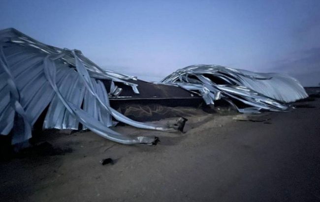 Россия ночью уничтожила 13 тысяч тонн зерна, предназначенного Египту и Румынии