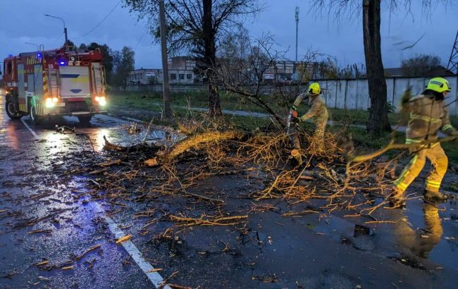 В Киеве не утихает непогода. Уже двое погибших и десятки сломанных деревьев