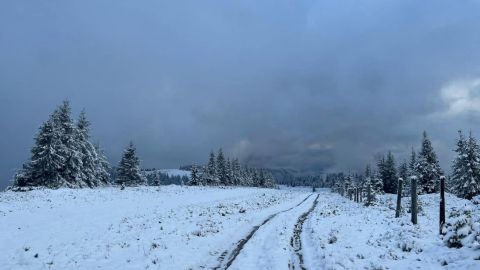 "Власти" Крыма усилили меры безопасности на границе