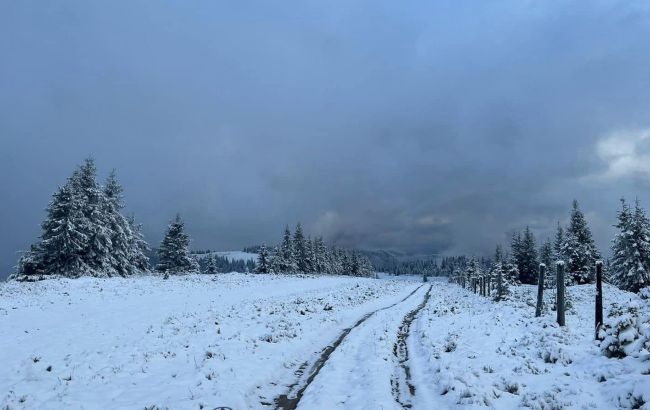 Застерегли ухилянтів. Прикордонники попередили про негоду в горах