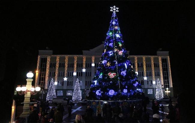 Журналисты показали самую дорогую елку в Украине