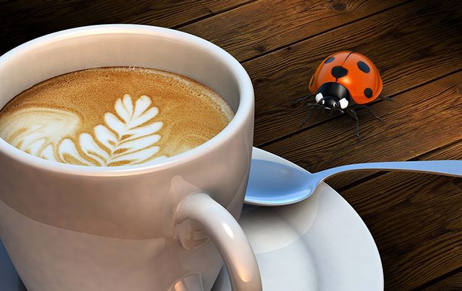 Кава Квест Фест - событие для настоящих фанатов кофейной культуры