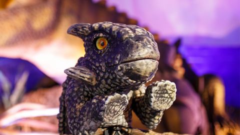 Доісторичні морські істоти "оживуть" у Києві