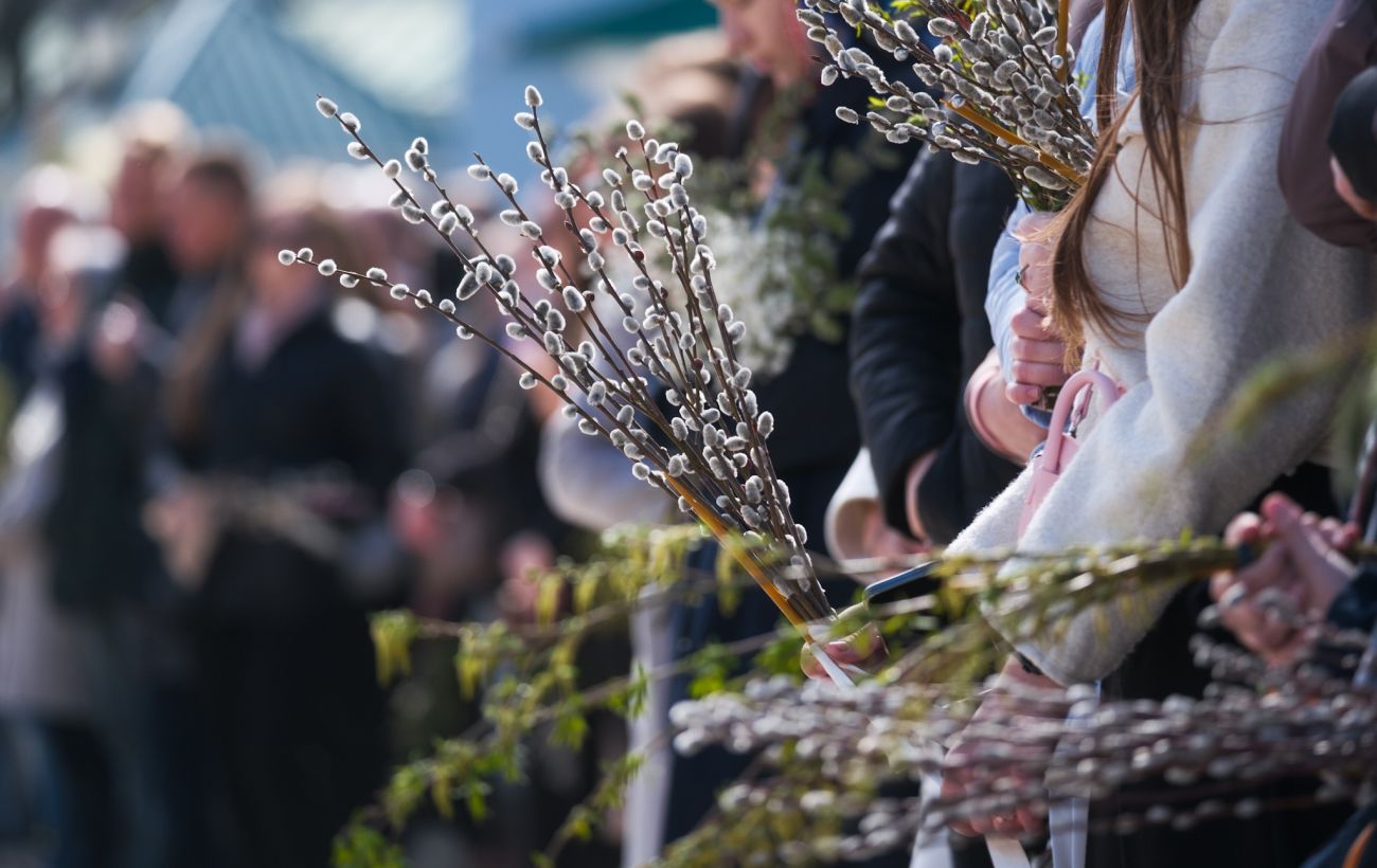 Вербна неділя 2026: що означає свято й чому насправді у храмах освячують "котики"