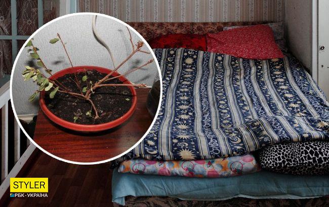 Эти вещи категорически нельзя держать дома: они приносят бедность