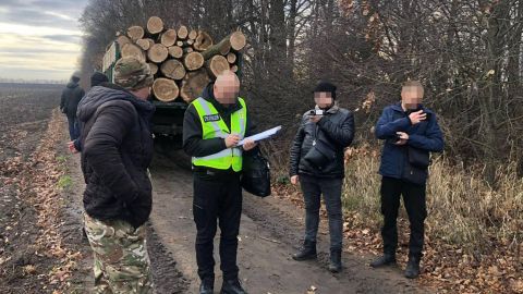 В Винницкой области строго наказали "черных" лесорубов: каков приговор суда