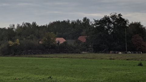 У Нідерландах сім'я дев'ять років чекала кінця світу у підвалі на фермі