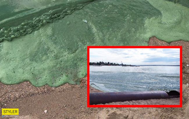 У Миколаєві вода на пляжі перетворилася в зелену рідину: що відбувається
