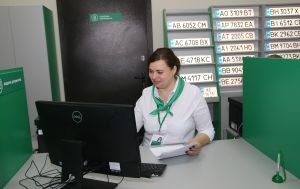 Авто "з гумором і характером": найцікавіші індивідуальні номери українців у 2025 році