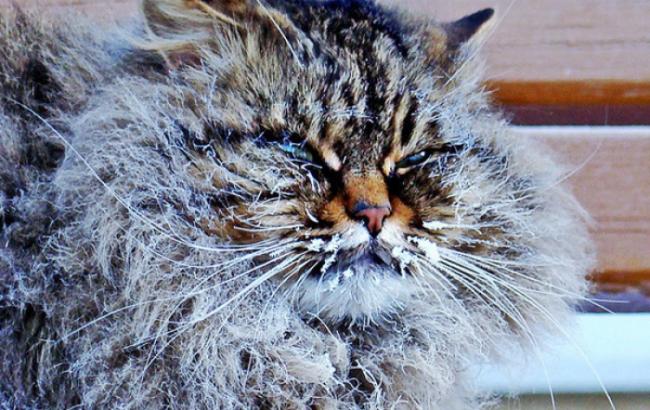 Украинцам пророчат резкое похолодание