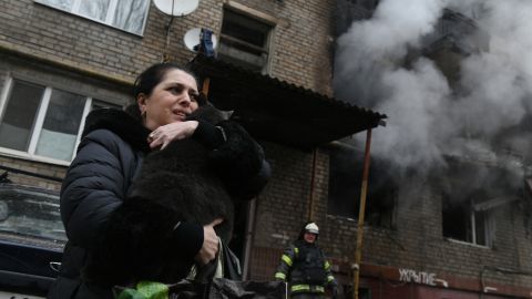 Кинологи рассказали, как помочь животным во время воздушной тревоги и взрывов