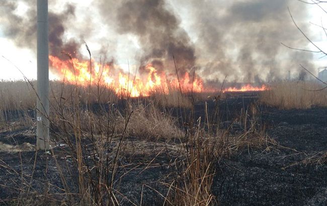 Пожар на заповедных территориях в Черниговской обл. локализовали