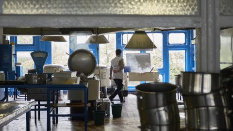 Новые нормы питания в школах. Кабмин установил переходный период для нововведений