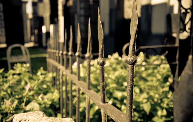 Супутникові знімки показали масштаб маріупольського кладовища: доказ воєнних злочинів РФ