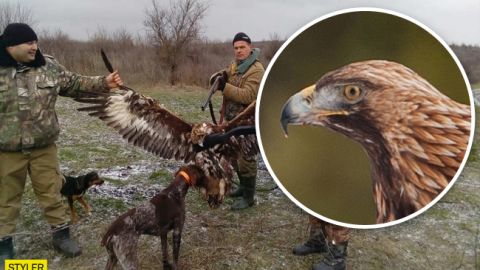Под Одессой силовики хвастаются убийством краснокнижных птиц: разгорается скандал