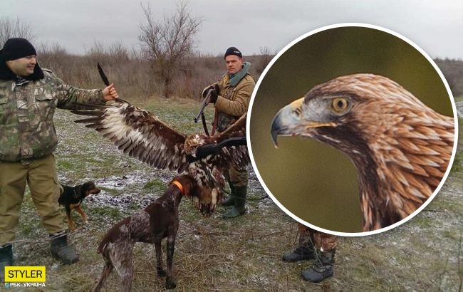 Под Одессой силовики хвастаются убийством краснокнижных птиц: разгорается скандал