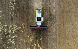 Украина наращивает валютную выручку от агроэкспорта благодаря переработке: почему это важно