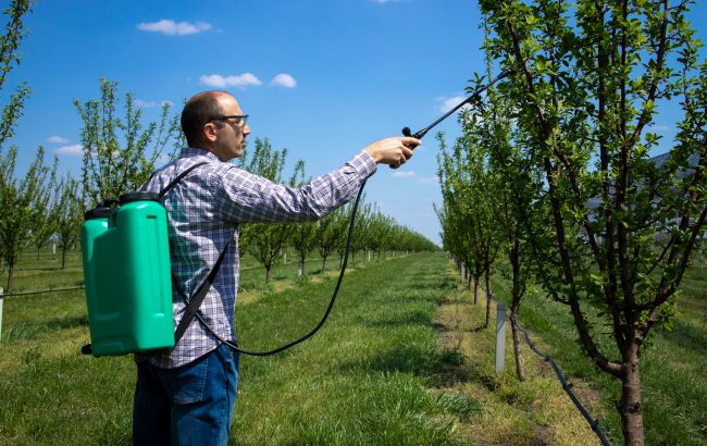 Мотыльки-"вампиры"? Какие насекомые уничтожают сад за несколько лет и как от них защититься