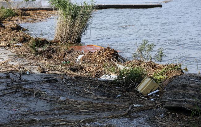 На пляжах Одессы заметили пятна, похожие на нефтяные, и находят погибших птиц