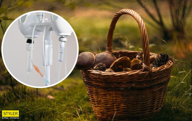 Как не отравиться грибами: эти советы помогут спасти жизнь