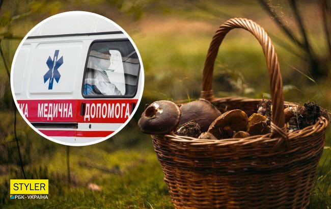 В Украине грибами из леса уже отравились 19 человек: медики дали спасительные советы
