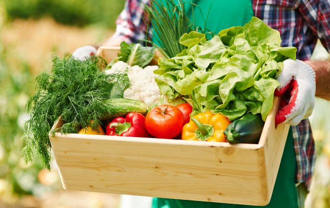 Как долго хранятся овощи и фрукты в холодильнике и без: полезная шпаргалка