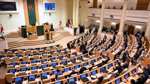 У парламенті Грузії сталась бійка: опозиціонер вдарив одного з депутатів проросійської партії