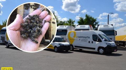 Укрпочта погубила 8 млн пчел: последствия халатности показали на фото