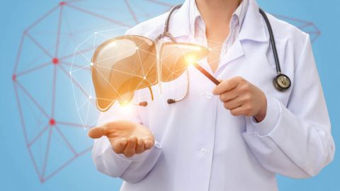 Как&nbsp;быстро распознать болезни печени: три важных признака