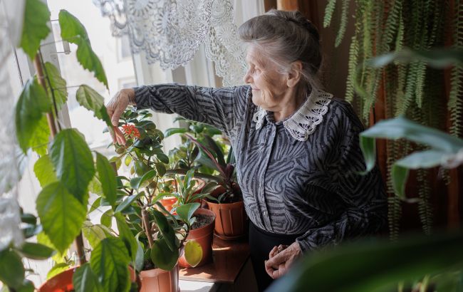 Пенсионерам придется проходить специальную проверку, чтобы получать выплаты: что известно об изменениях