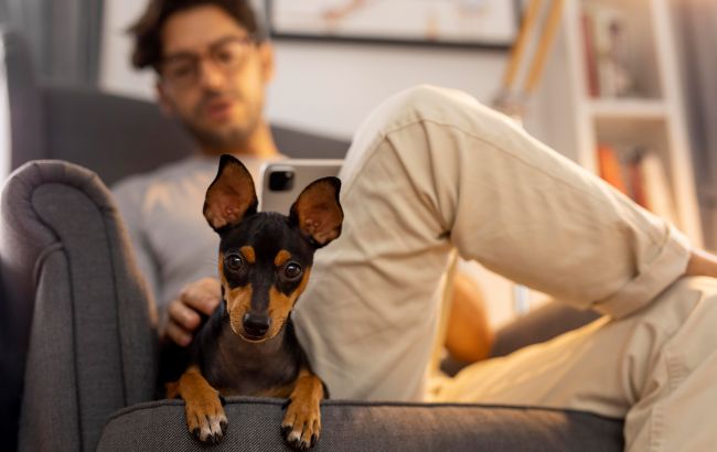 Ім'я тварини може впливати на її характер: як обрати правильно і уникнути помилок