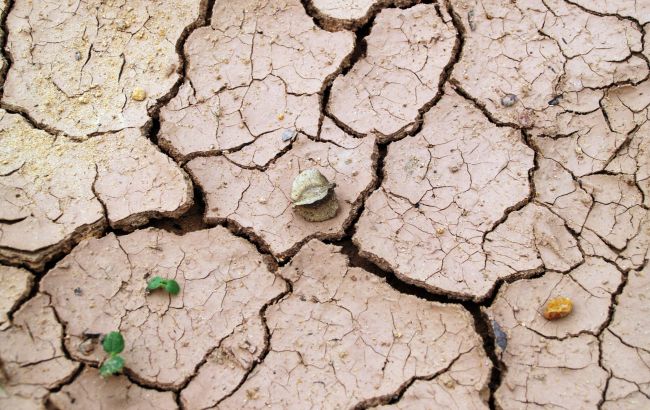 Україна переходить у зону надвисоких температур і погодних катаклізмів, - Мінприроди