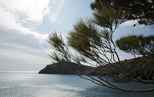 В оккупированном Крыму провели учения по перехвату низколетящих и малоскоростных целей