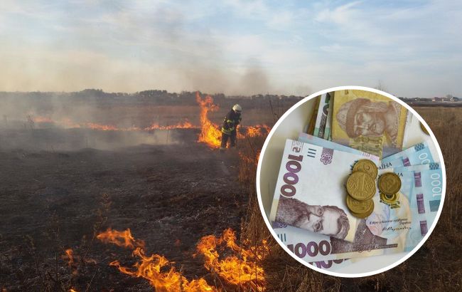 Большие штрафы и даже тюрьма: за что могут наказать украинцев весной