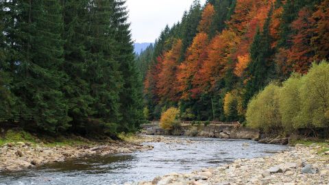В Україні дефіциту води для аграріїв і населення не буде