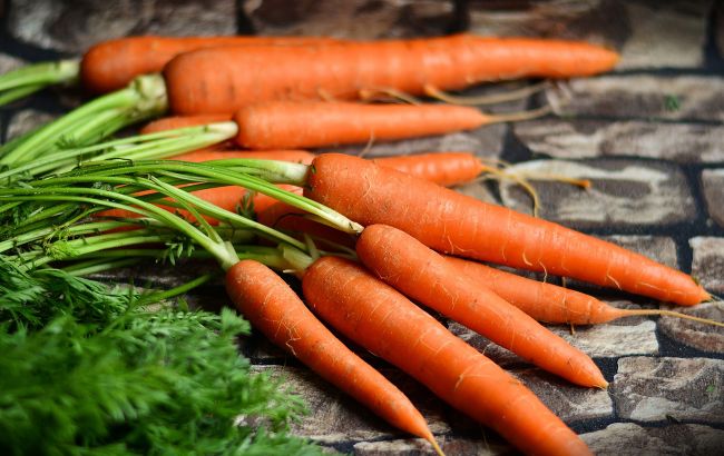 Как хранить морковь в квартире всю зиму: не сгниет и не прорастет