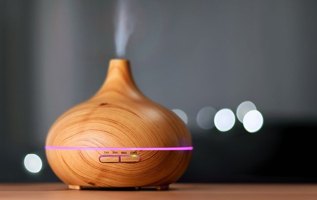 Почему нужно иметь в доме увлажнитель воздуха: врач объяснил