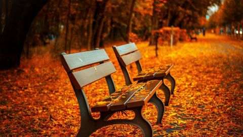 Спалювання - в 350 разів шкідливіше куріння. Так що ж робити з опалим листям?