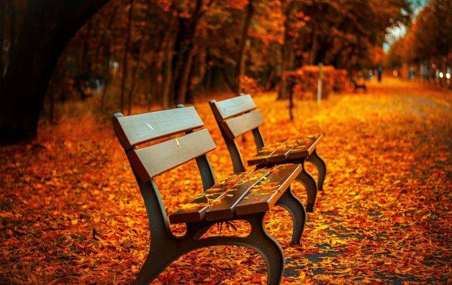 Сжигание - в 350 раз вреднее курения. Так что же делать с опавшей листвой?