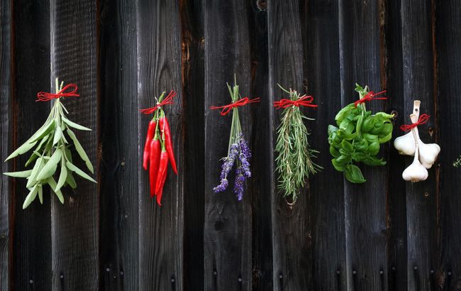 Які спеції завжди повинні бути на вашій кухні: поради кращих кулінарів світу