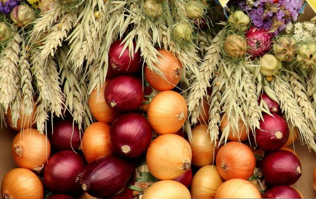 Названо лучшее место для хранения лука и чеснока. Плесень им не страшна