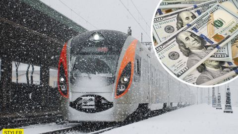 В поезде Рахов-Харьков нашли чемодан, набитый долларами: кто его владелец?